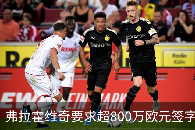 弗拉霍维奇要求超800万欧元签字费，尤文和费内巴切竞争安德烈